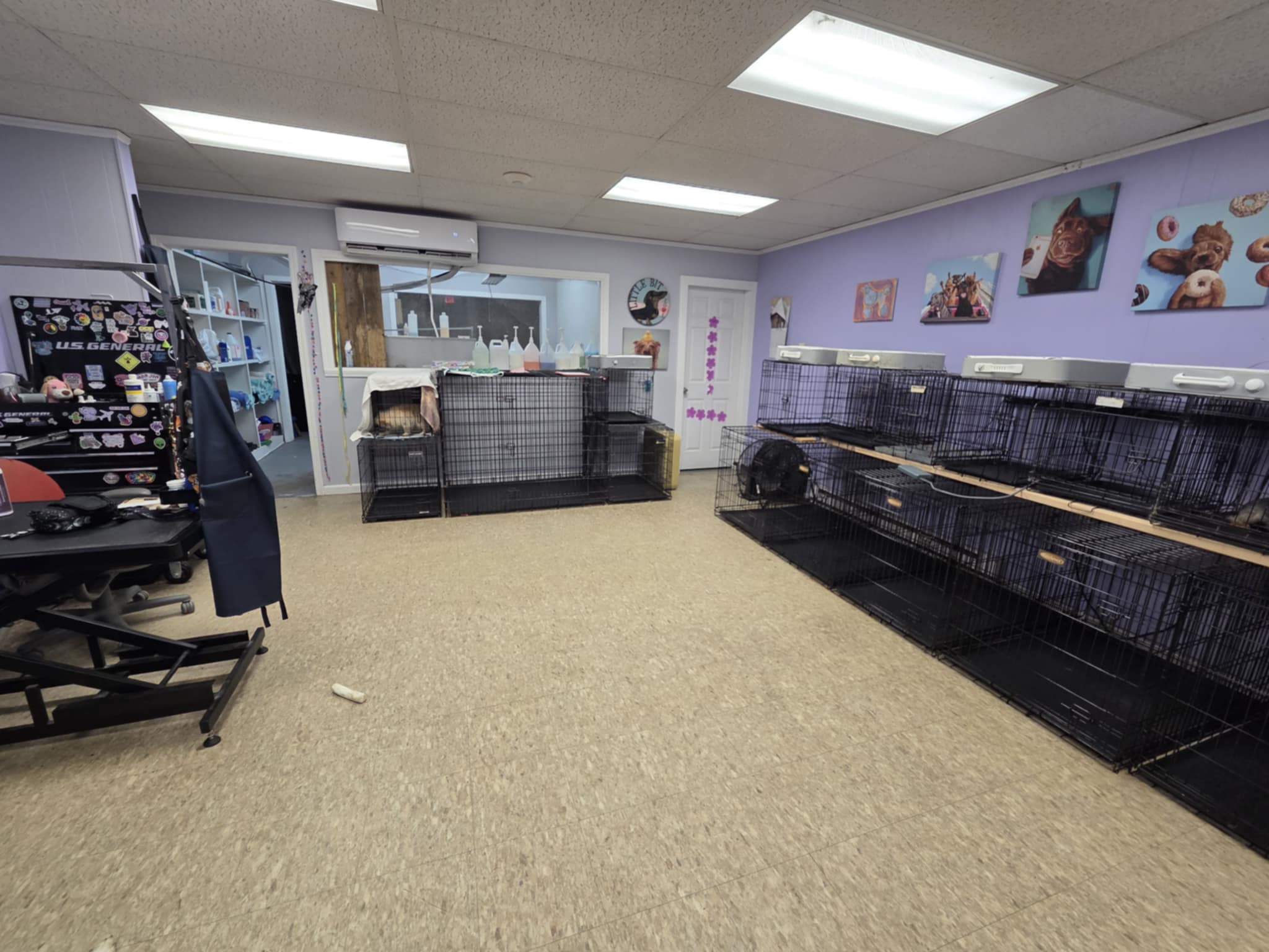 Inside the grooming salon, with crates along the back wall